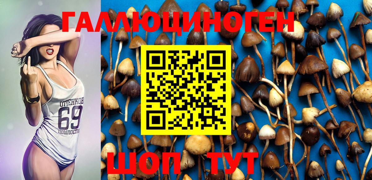 Галлюциногенные грибы Cubensis Мариинск